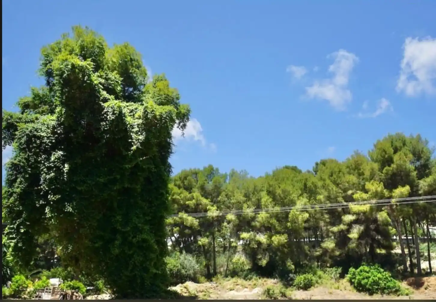 Jardín de Residencial en venta en Moraira