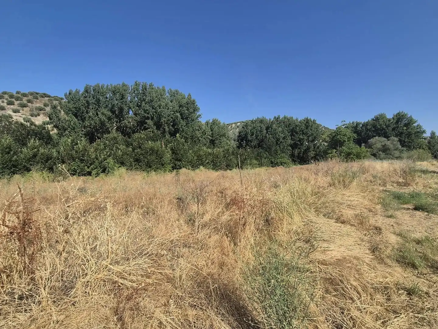 Terreno rústico en venta en Algarinejo, imagen 7