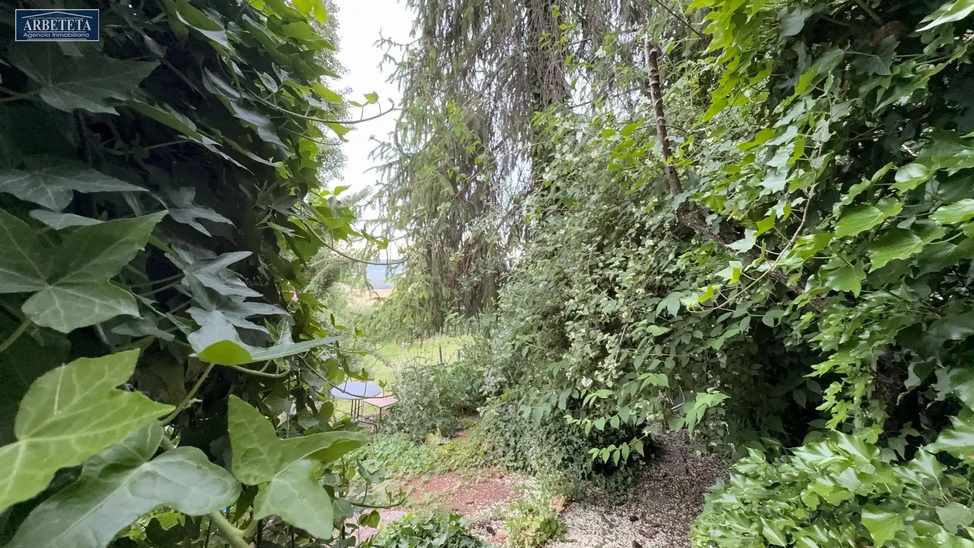 Country homes for sale in Alcocer  with Private garden and Terrace