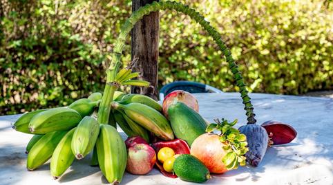 Foto 5 de Terreny en venda a Altos de Estepona, Málaga