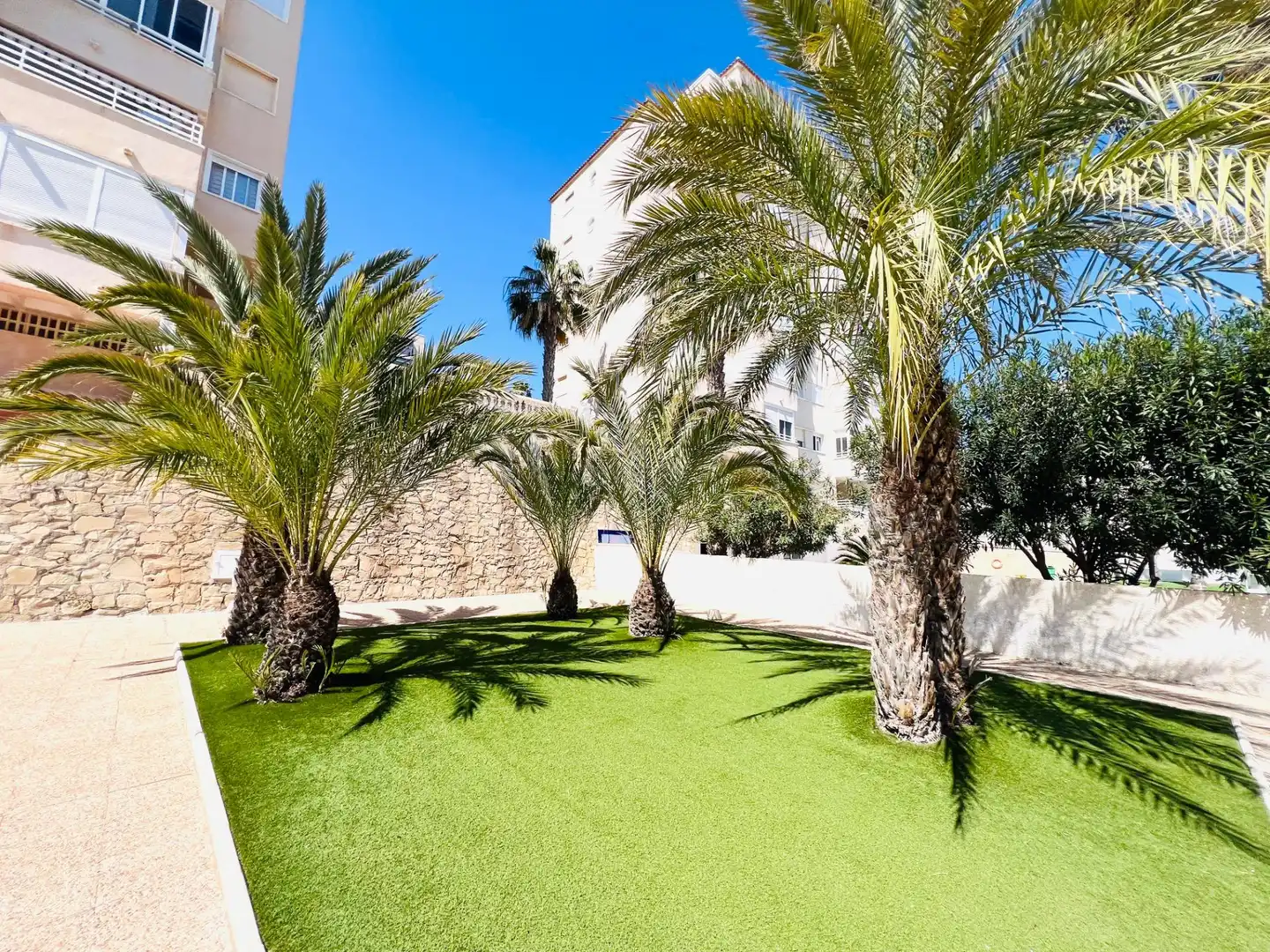 Außenansicht von Wohnungen zum Verkauf in Elche / Elx mit Privatgarten, Möbliert und Gemeinschaftspool
