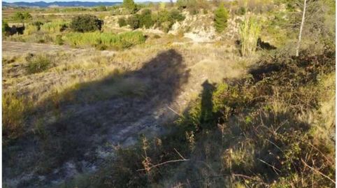 se vende terreno en almoines
