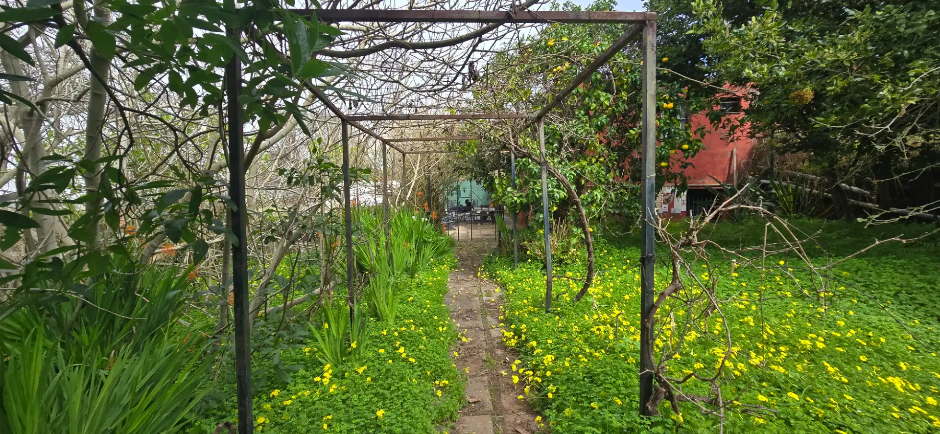 Casa rustica con giardino in vendita a Calle Vereda del Señor 117, imagen 62