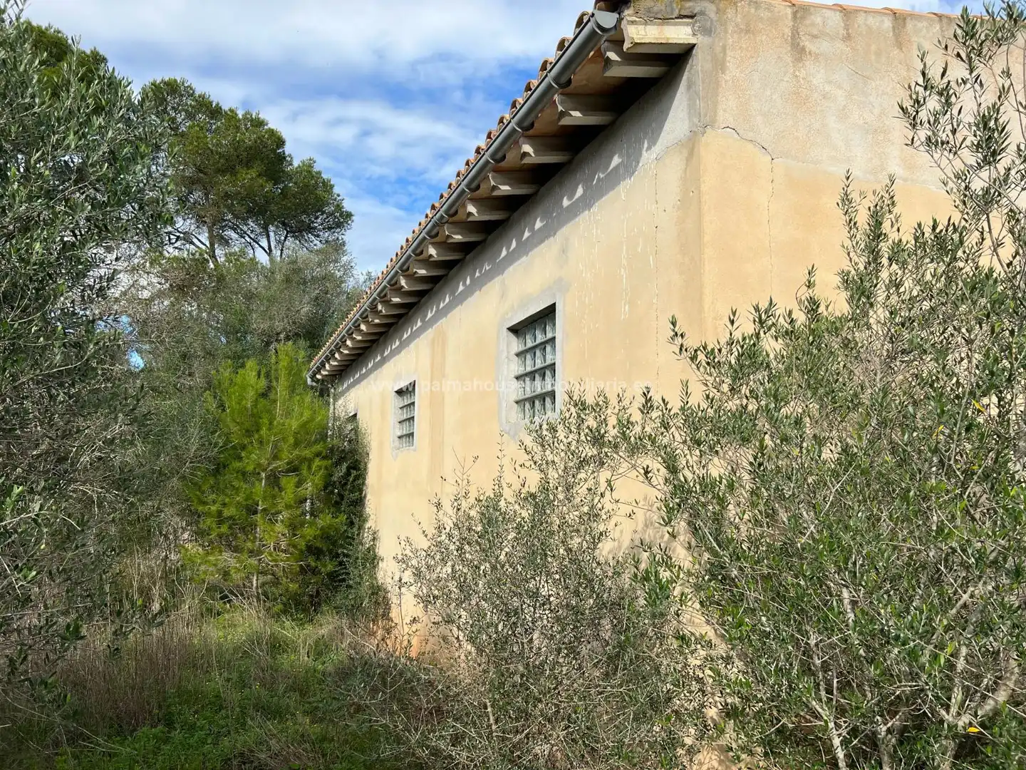 Vista exterior de Residencial en venta en Algaida