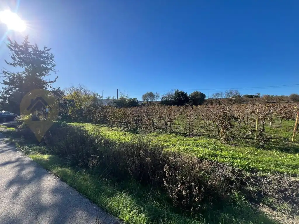 Finca rústica en venta en Jerez de la Frontera