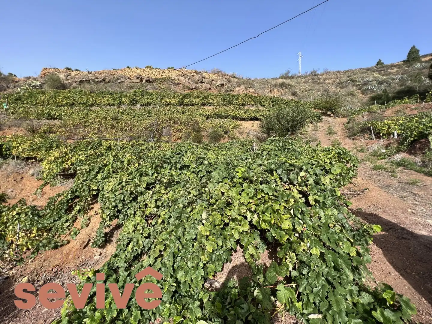 Terrenys i solars en venda a LOMO DE PAJARA 11 1, imagen 30