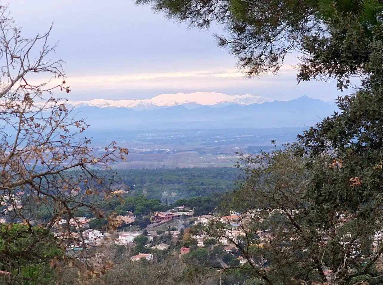 Vista exterior de Casa o xalet en venda en Maçanet de la Selva amb Jardí privat, Terrassa i Moblat