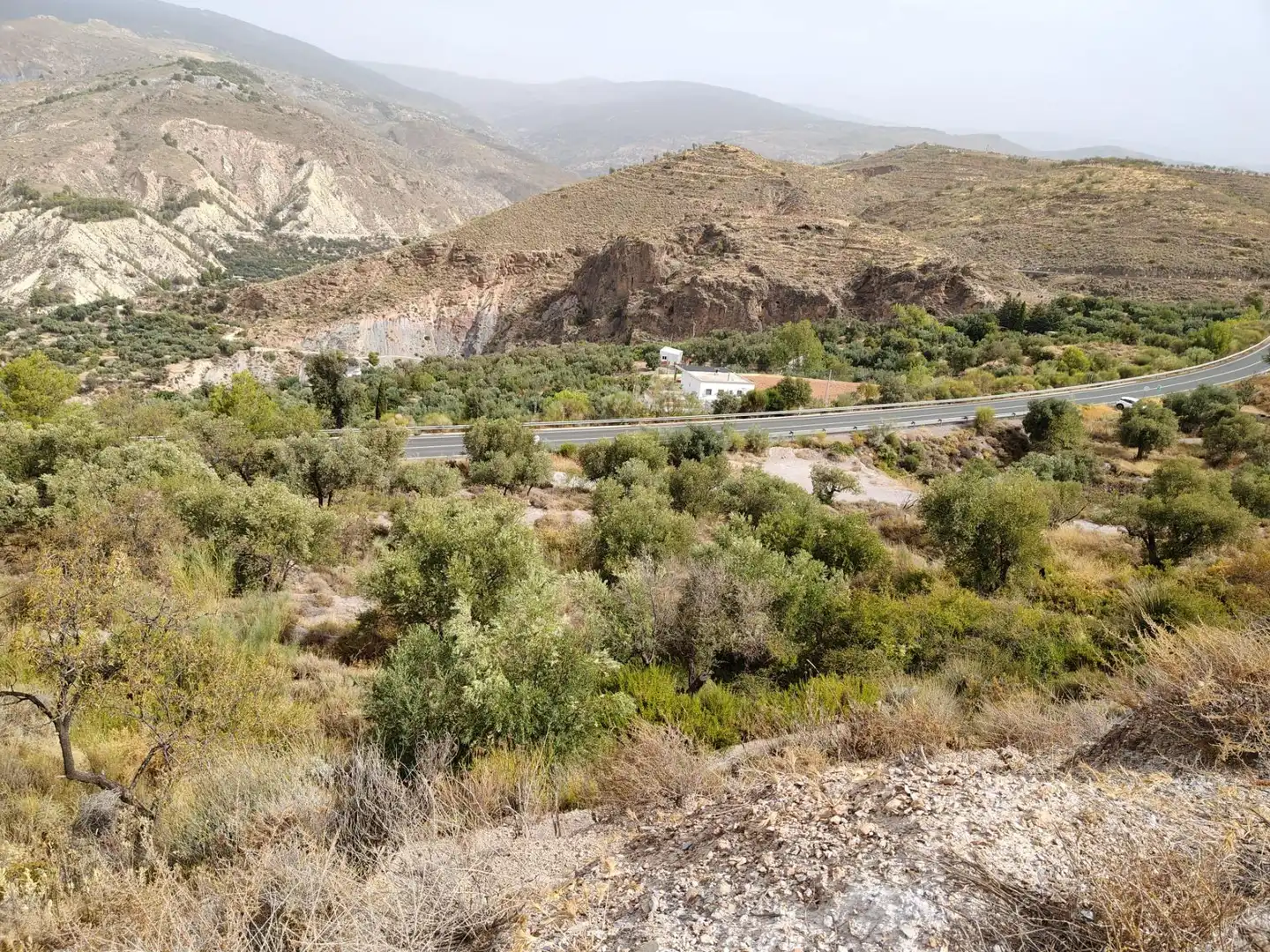 Terrain rustique à vendre à Alcolea, imagen 11