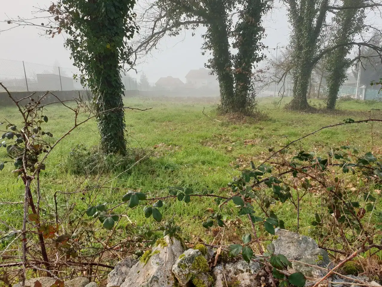 Terreni e lotti in vendita a Pereiro de aguiar, imagen 12
