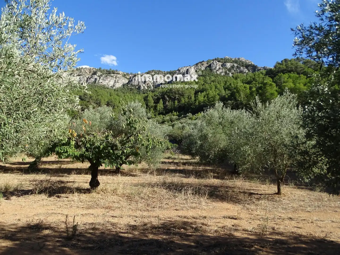 Terreno en venta en Paüls