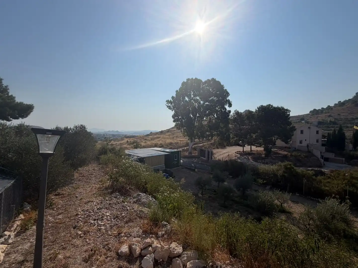 Finca rústica en venta en Aspe
