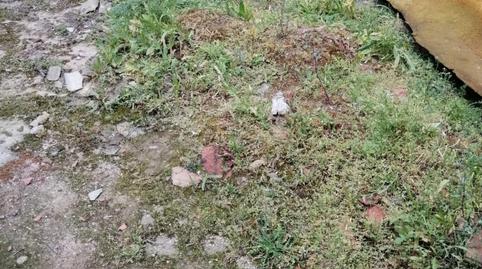 Foto 5 de Residencial en venda a Zona Rural, Burgos