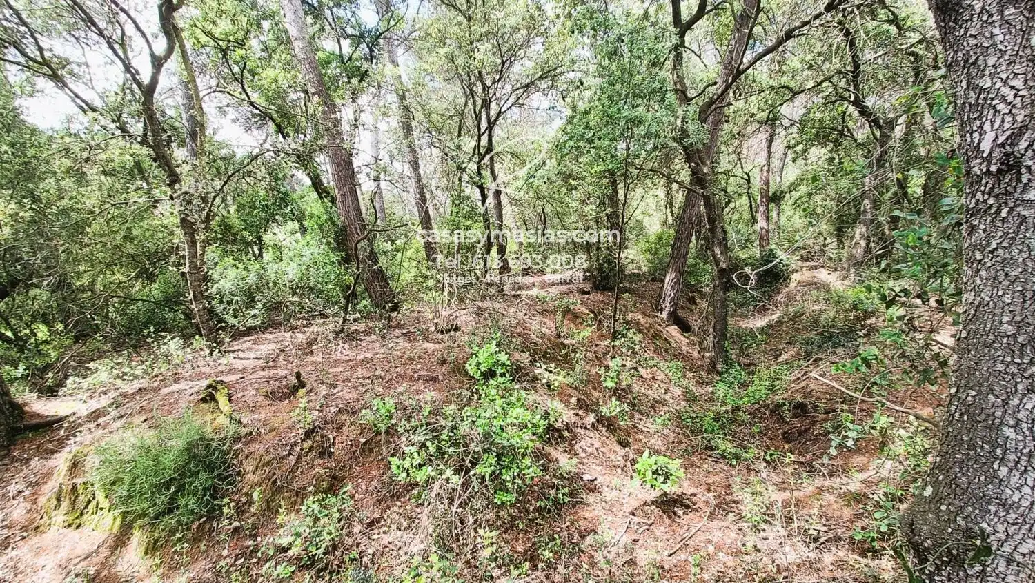 Finca rústica en venta en Mediona con Calefacción, Jardín privado y Piscina