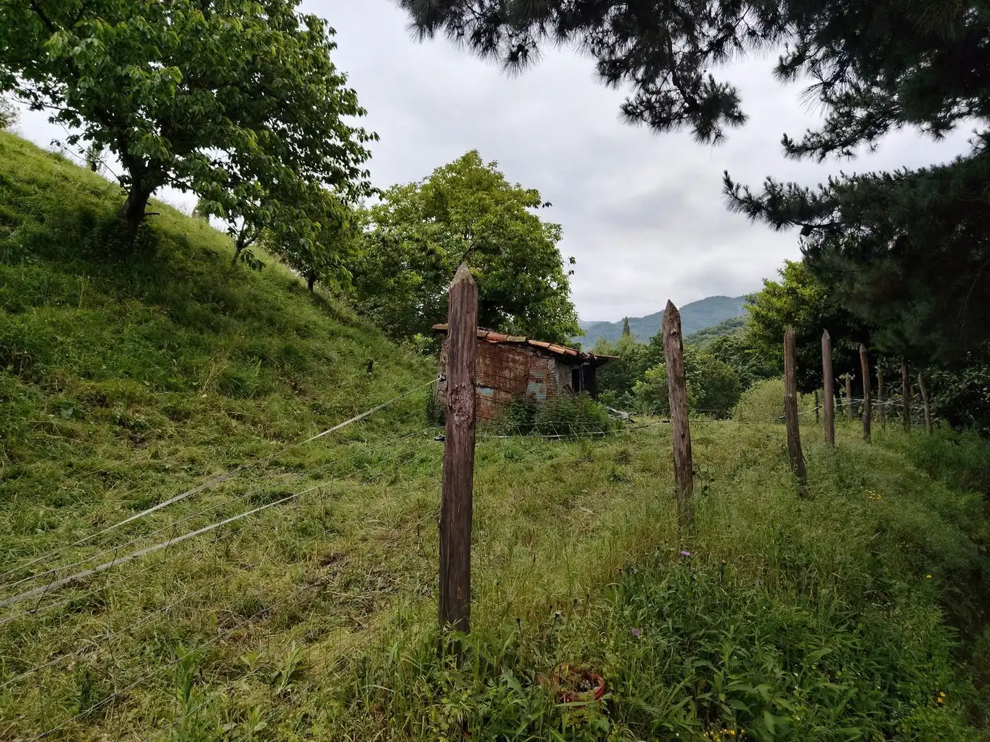 Residential for sale in Lena
