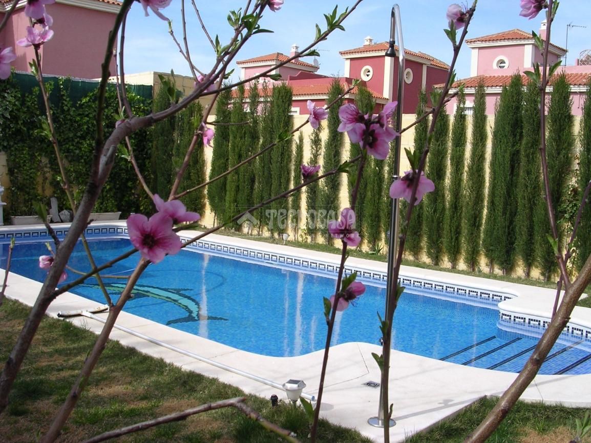 Swimming pool of Single-family semi-detached for sale in Salteras  with Air Conditioner, Terrace and Swimming Pool