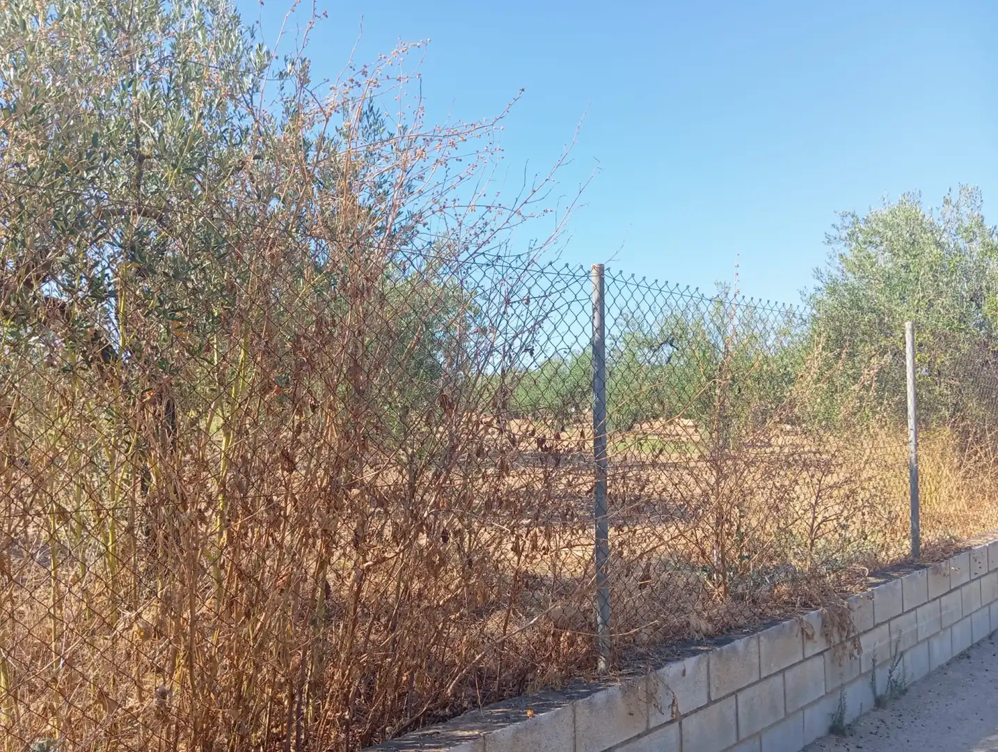 Terreny rústic en venda a Ramal de Espartinas, imagen 2