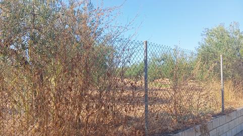 Foto 2 de Residencial en venda a Ramal de Espartinas, Sevilla