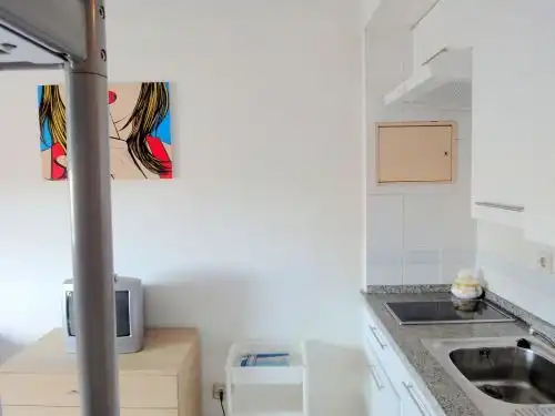 Wohnung mit Pool zur Miete in Avenida Alcalde Luis Uruñuela, imagen 5