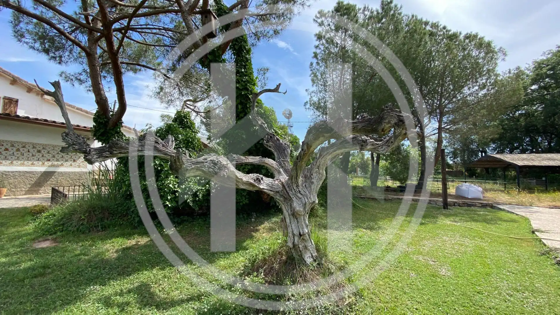 Jardín de Casa o chalet en venta en Sant Antoni de Vilamajor con Jardín privado, Terraza y Trastero