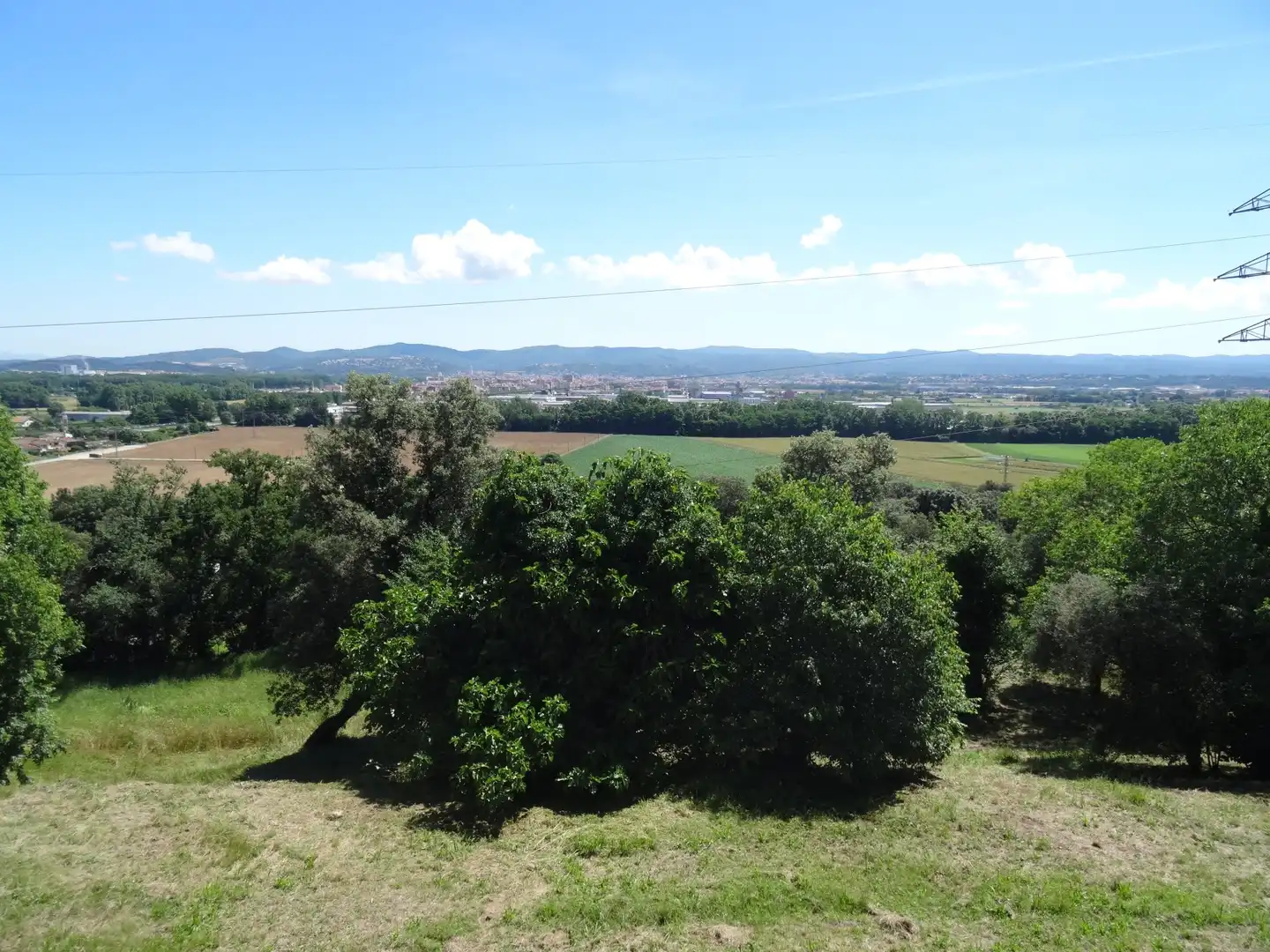 Finca rústica en venta en Bescanó