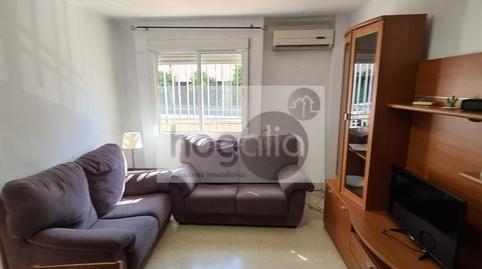 Foto 3 de Planta baixa per a compartir a El Plantinar – Avda. La Paz - El Juncal,  Sevilla Capital