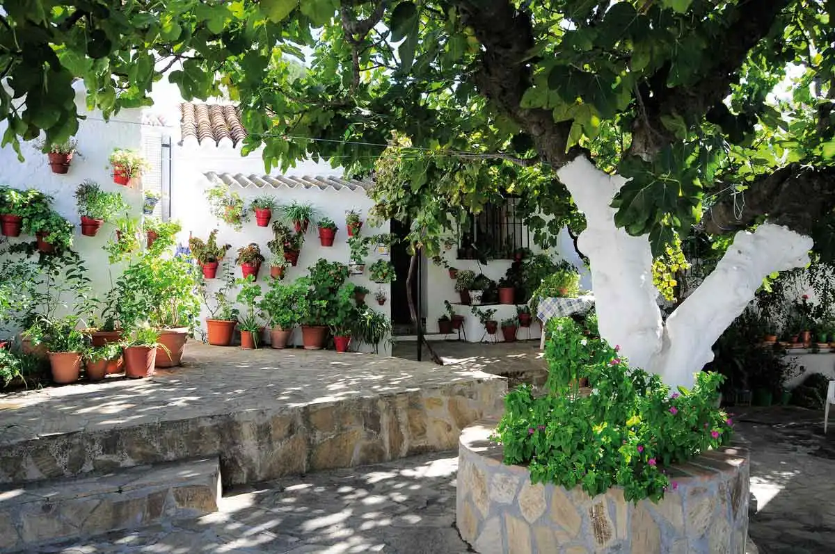 Vista exterior de Casa adosada en venda en Alcaucín amb Piscina
