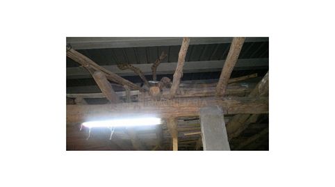 Tienda Venta Tricio