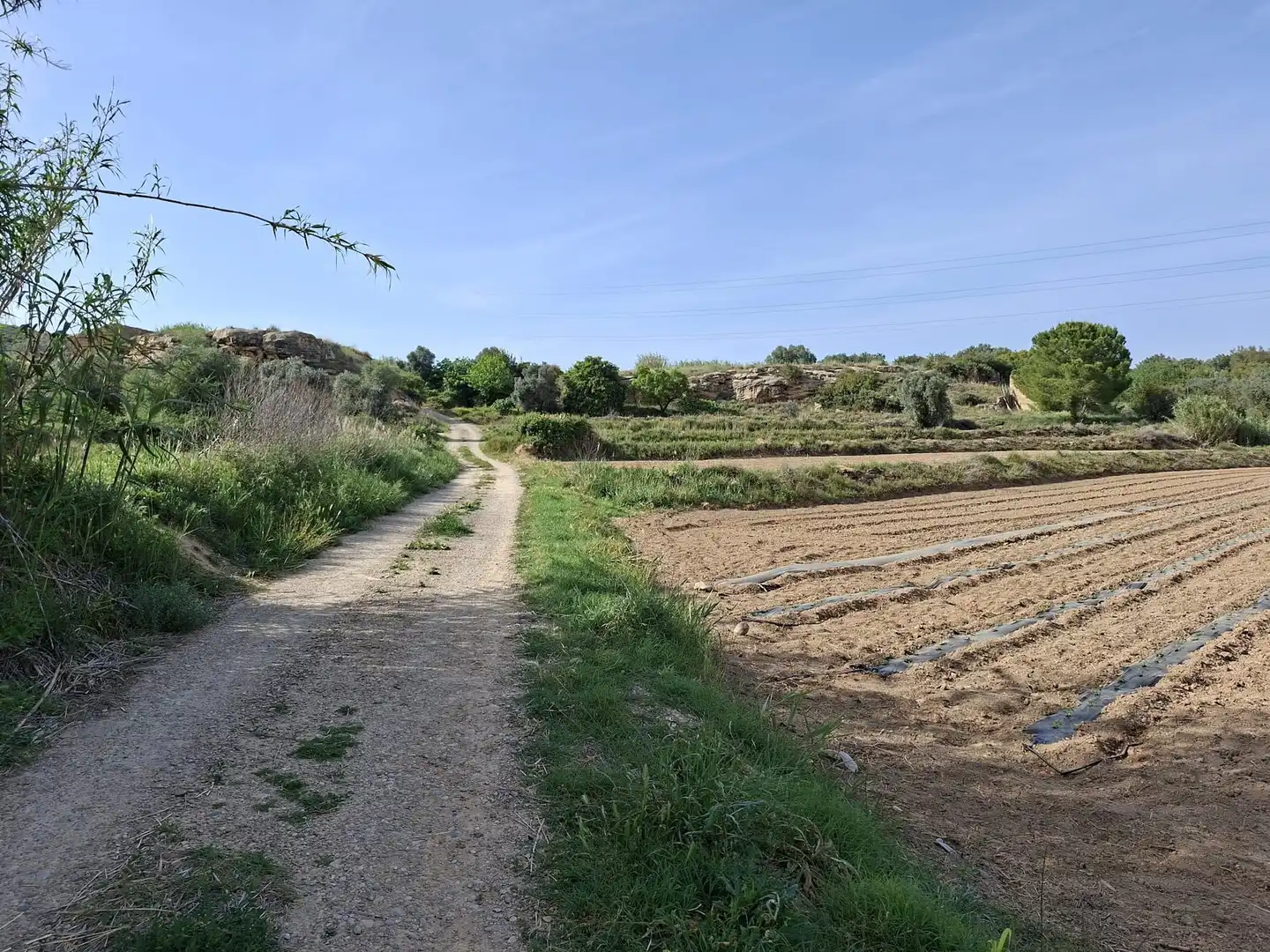 Finca rústica en venda en Caspe