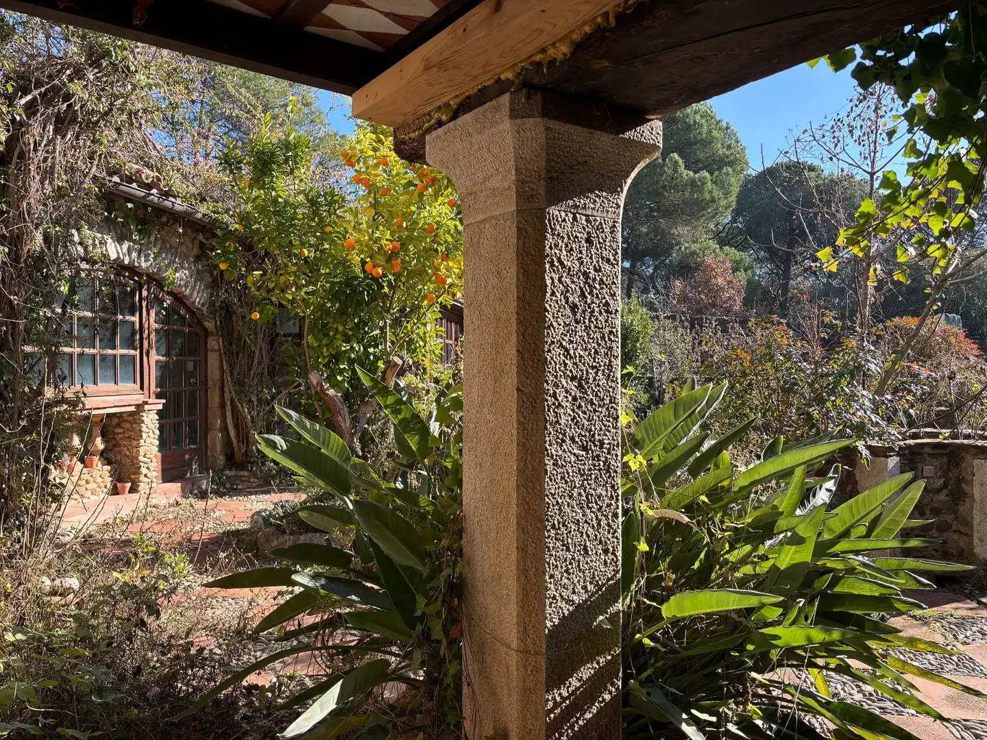 Jardín de Finca rústica en venta en La Pera con Jardín privado, Trastero y Piscina