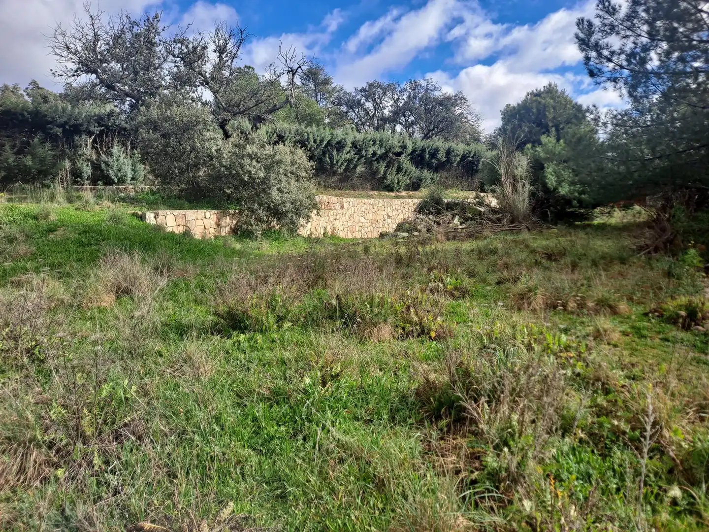 Residencial en venda en Boadilla del Monte