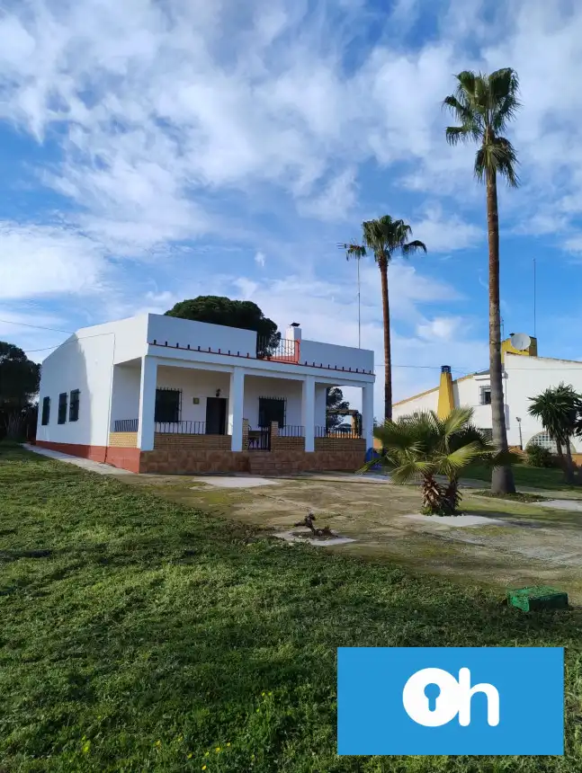 Vista exterior de Finca rústica en venta en Bonares
