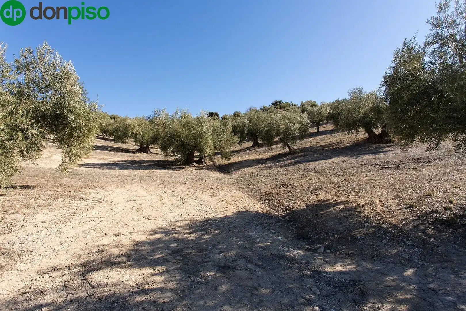Terreny rústic en venda a Poligono 2 parcela 276 y 409, imagen 15