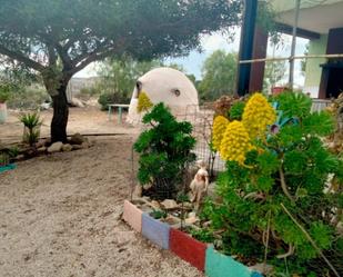 Jardí de Casa o xalet en venda en Lorca amb Calefacció i Jardí privat