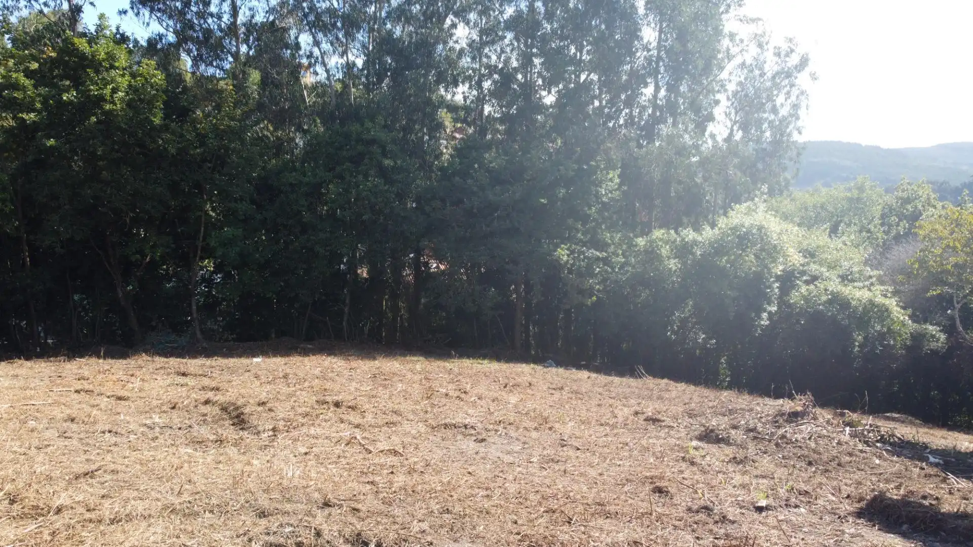 Wohnbaugrundstück zum Verkauf in SAN JUAN DE PIÑERA 45, imagen 34