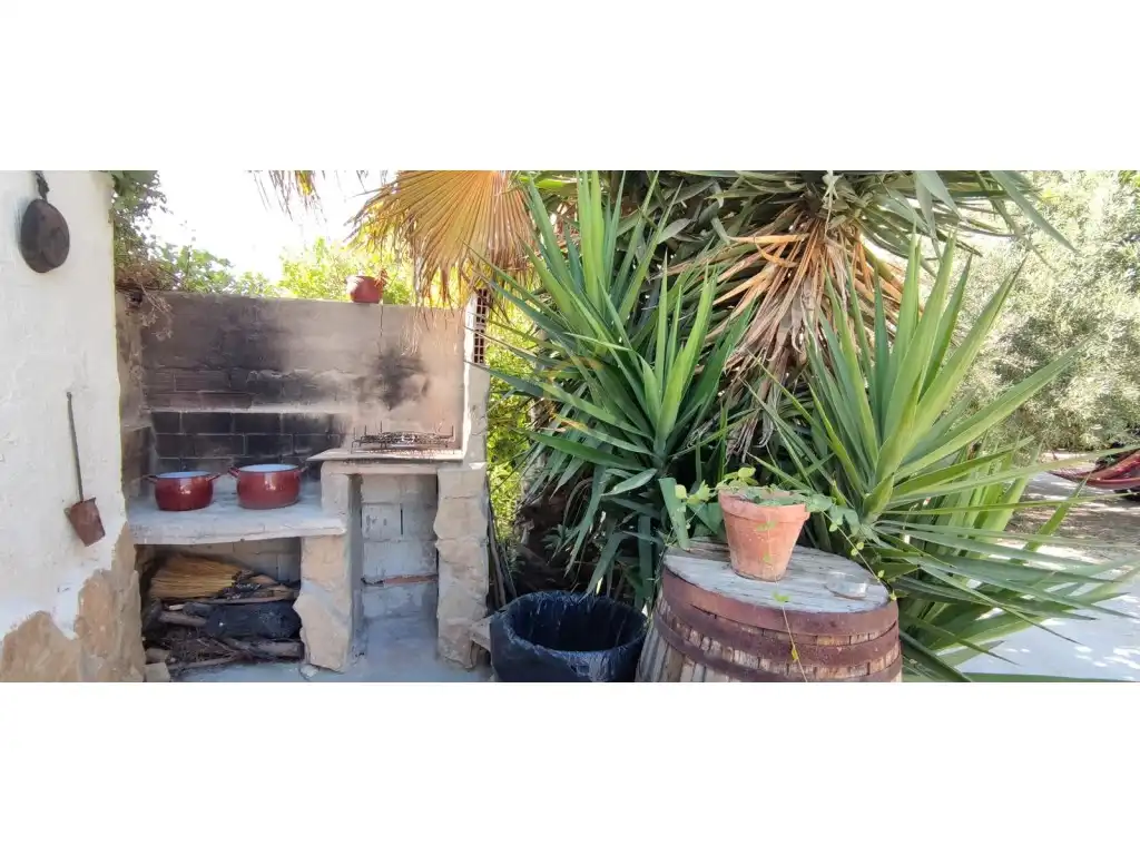 Jardí de Finca rústica en venda en La Romana