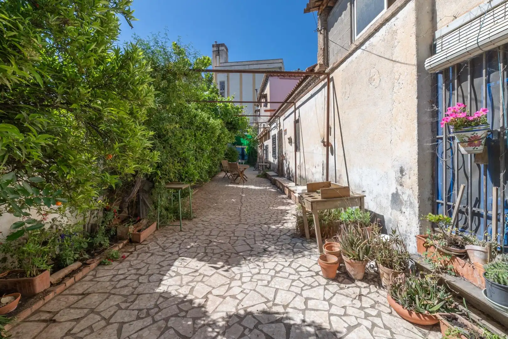 Vista exterior de Casa o chalet en venta en Santa Fe con Jardín privado