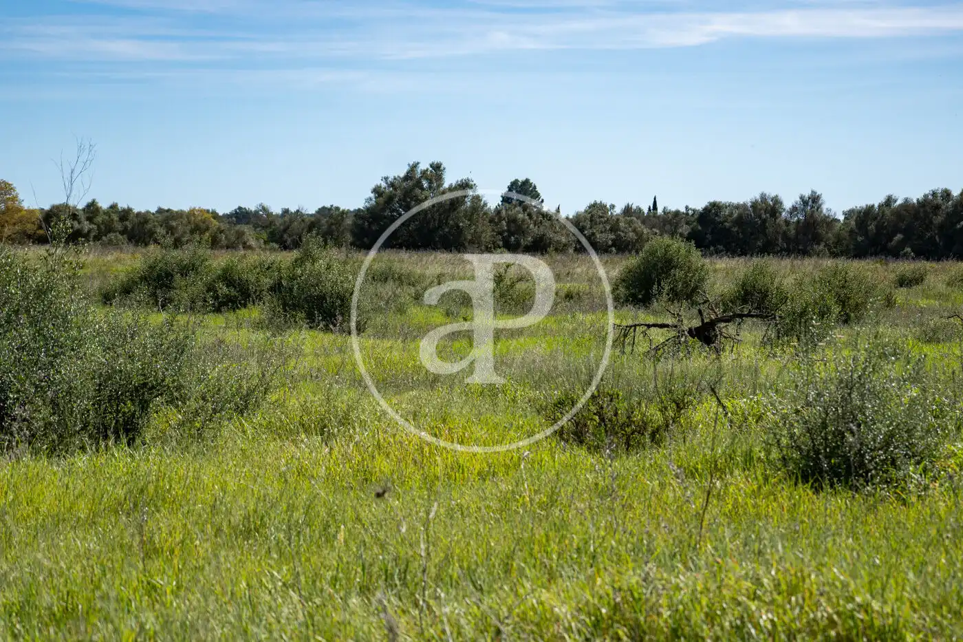 Wohnbaugrundstück zum Verkauf in Polígono 12 Parcela 246, imagen 9