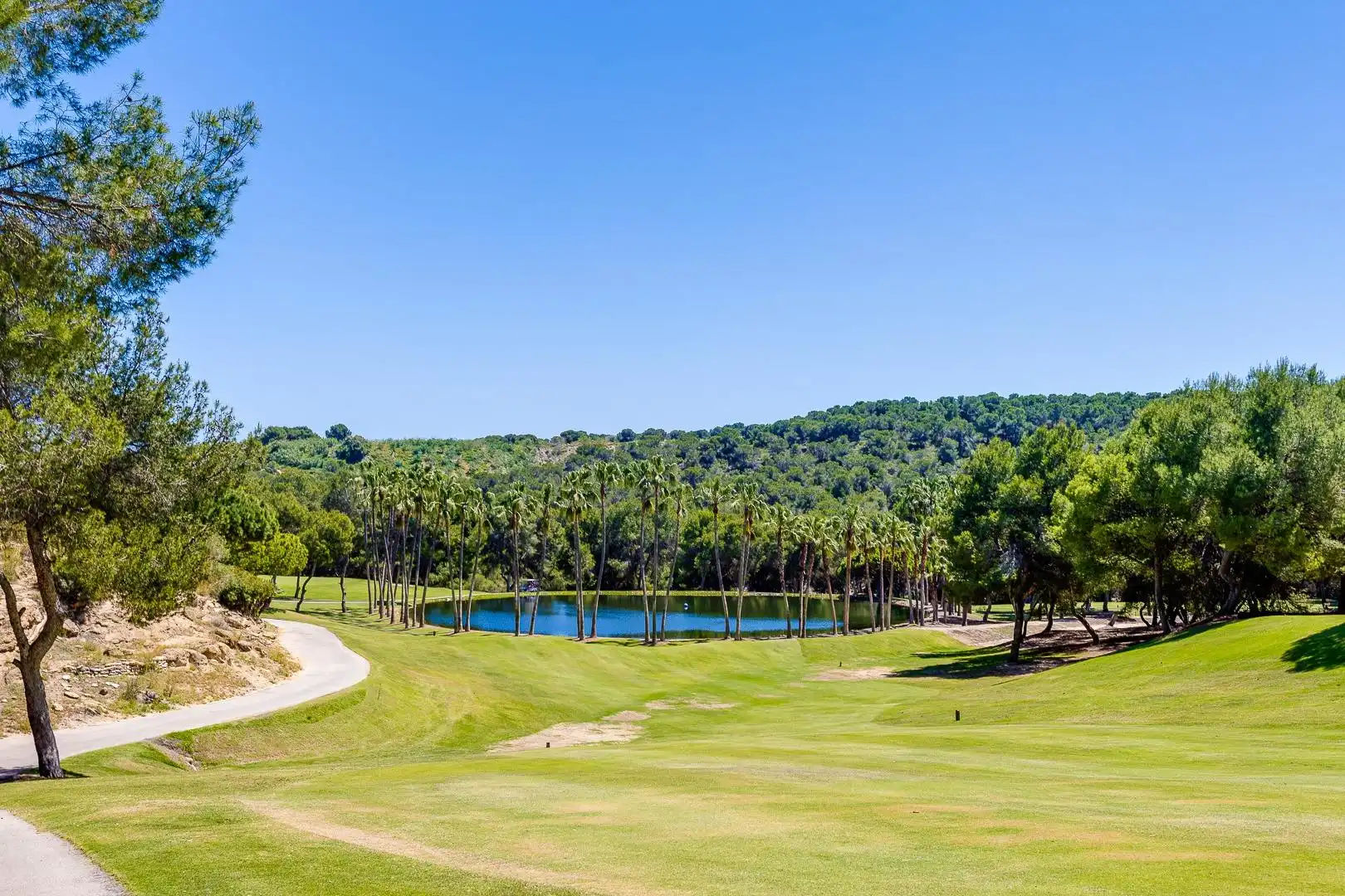 Mini appartamento con terrazza in affitto a Campo de Golf Lomas de Campoamor, imagen 92