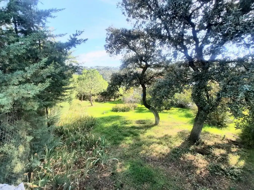 Casa o xalet en venda a Albalate de Zorita