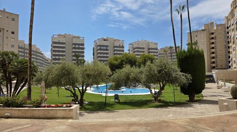 Foto 3 de Piso en venta en Playa Muchavista, El Campello
