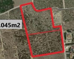 Land for sale in Elche / Elx