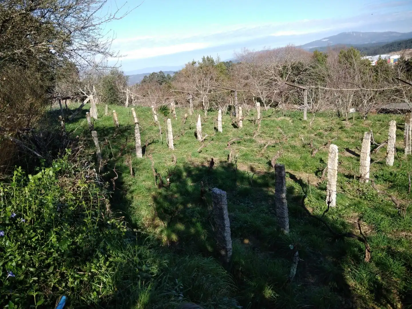 Finca rústica en venta en Barro con Jardín privado