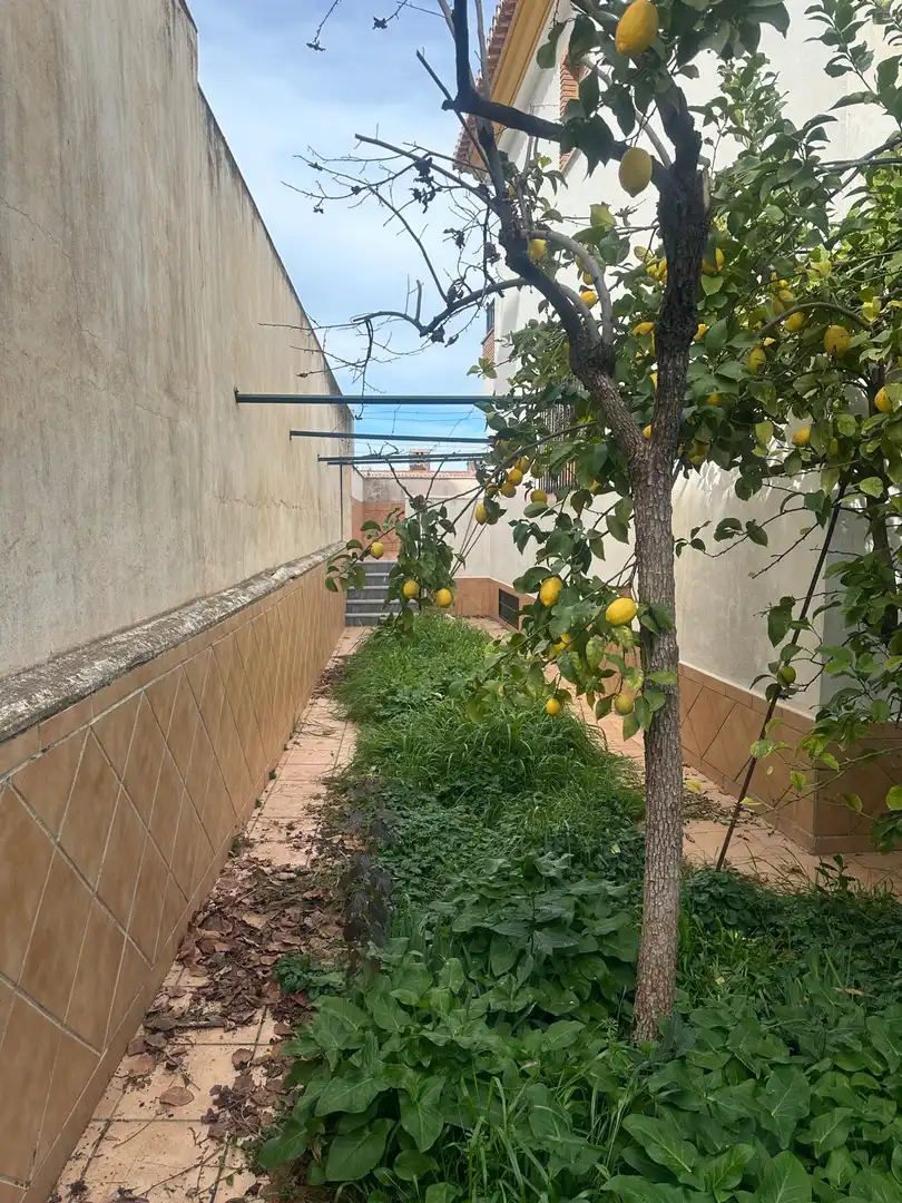Casa amb terrassa en venda a Cájar, imagen 15
