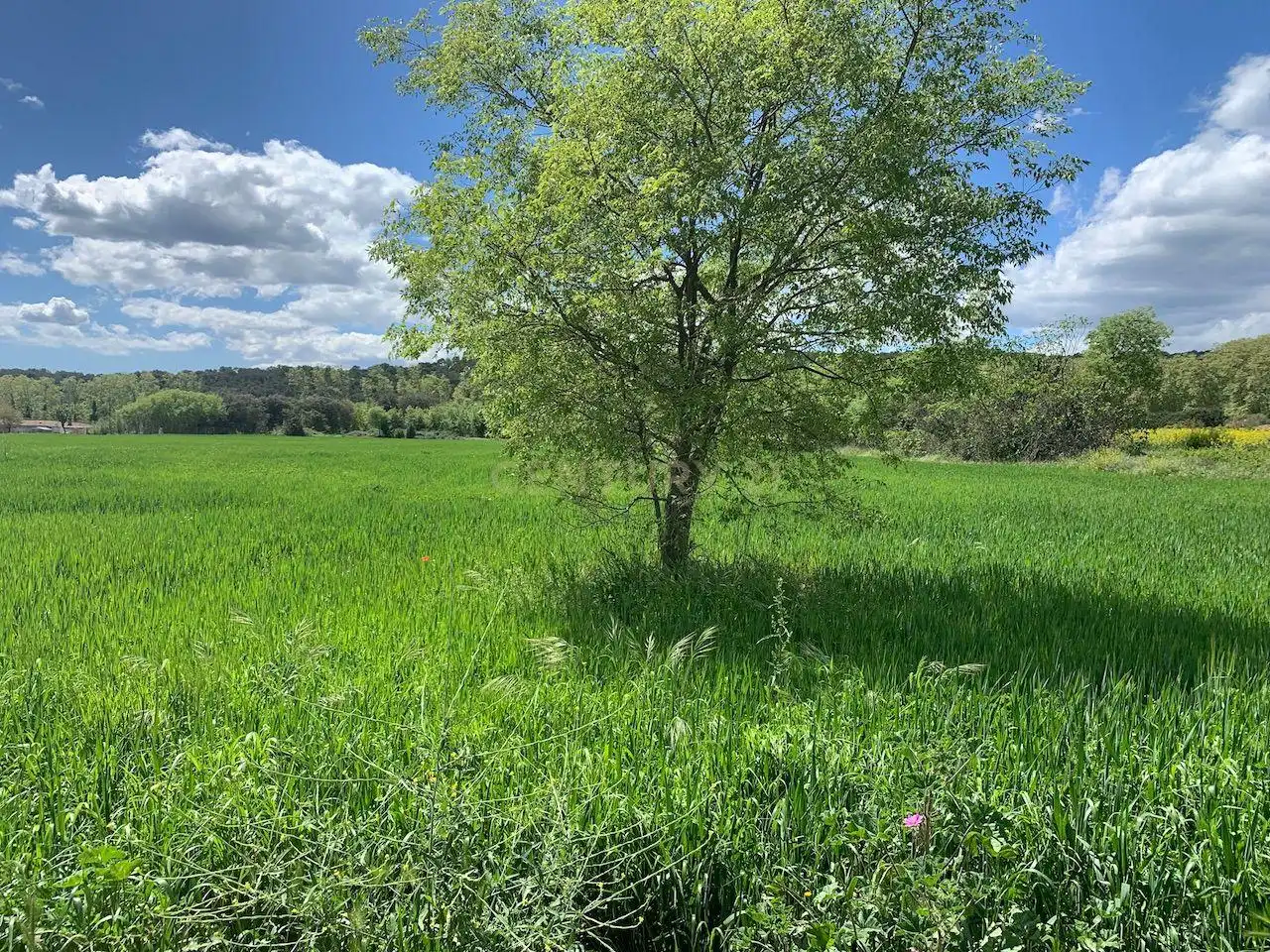 Residential land for sale in Sant Esteve de Palautordera, imagen 2