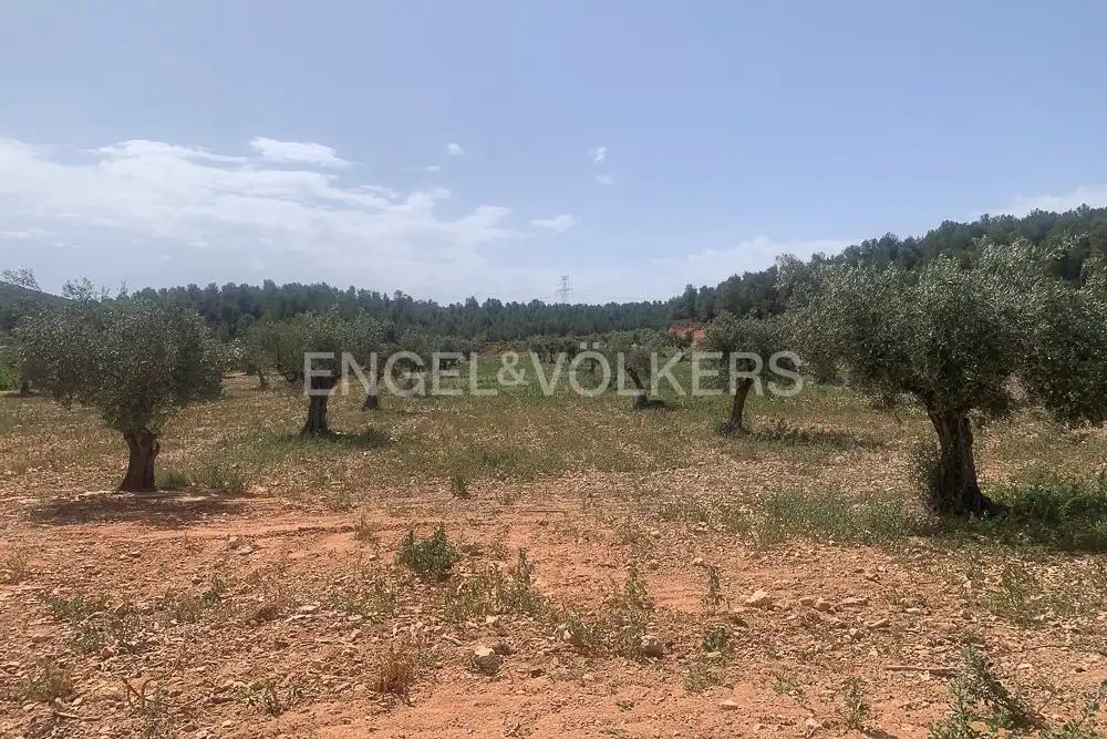 Lands and plots for sale in Requena, imagen 9