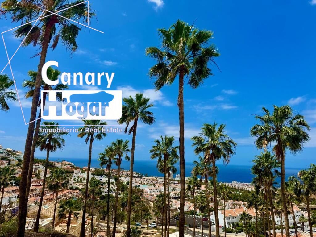 Vista exterior de Dúplex en venda en Adeje amb Aire condicionat, Jardí privat i Terrassa