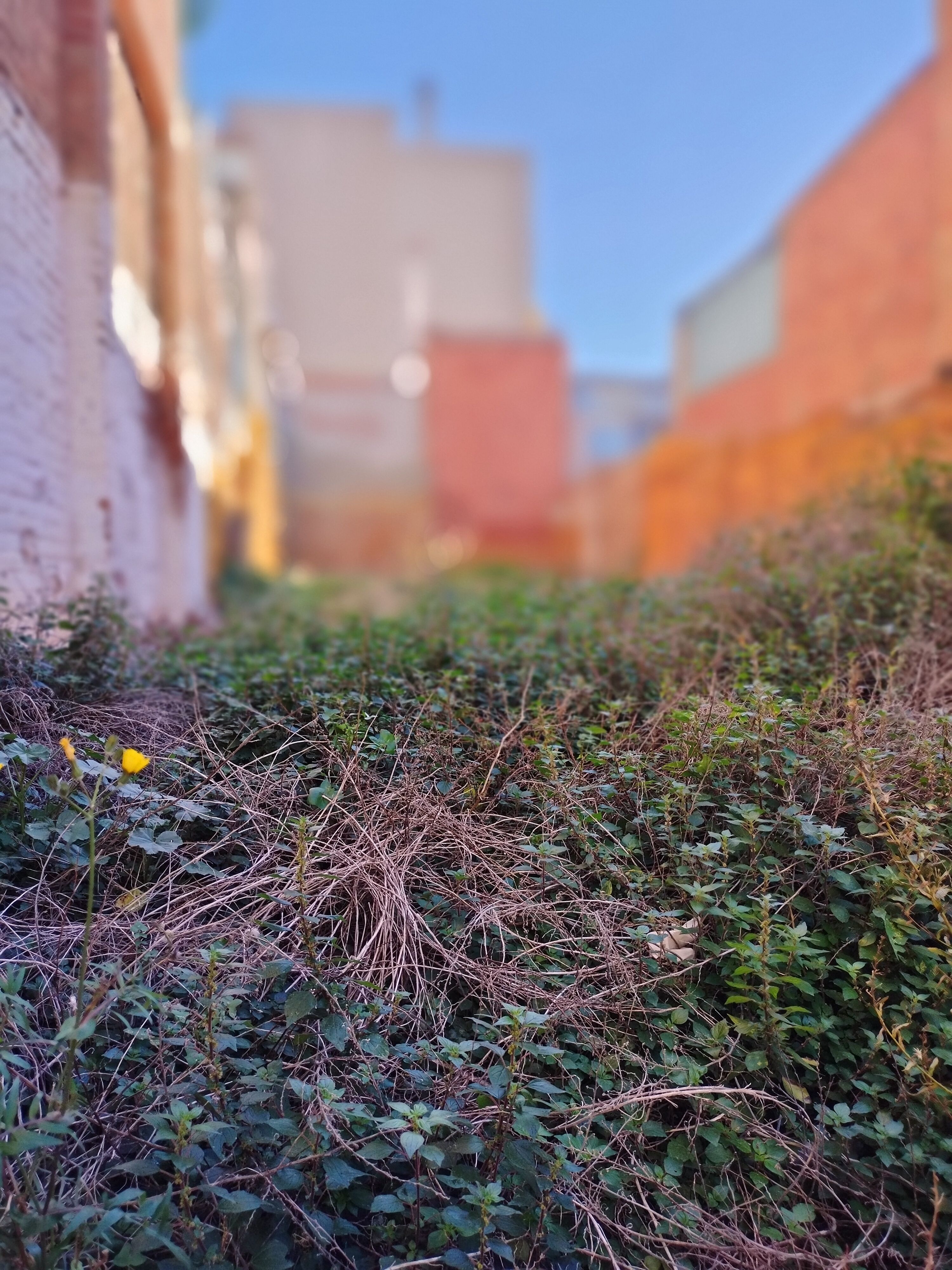 Garden of Residential for sale in Badalona