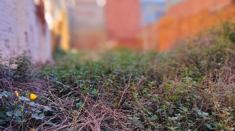 Foto 3 de Residencial en venda a Carrer de Sant Antoni Abat, Llefià, Barcelona