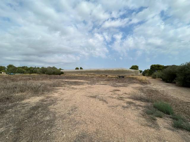 Terreno en Venta en Carrer Lliria en Centro