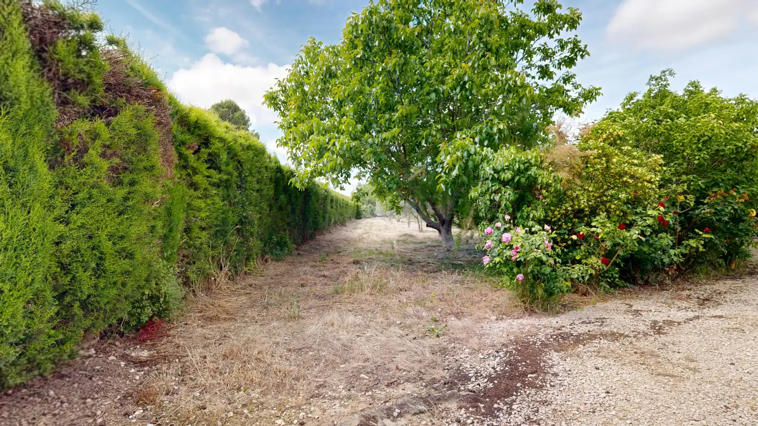 Rural land for sale in Tafalla - PARAJE LA RECUEJA, imagen 71